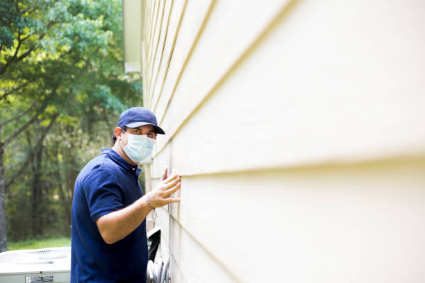 Best Custom Trim and Detailing for Siding  in Plainview, TN